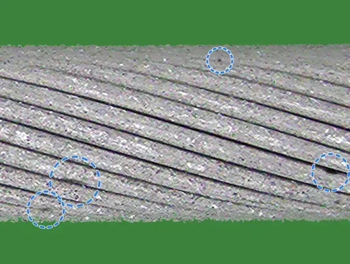 Healthy training crop with short dark dashes drawn in the grooves, ringed in dashed blue.